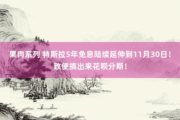 果肉系列 特斯拉5年免息陆续延伸到11月30日！致使搞出来花呗分期！